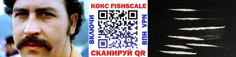 мега ССЫЛКА  Заозёрск  КОКАИН Fish Scale 