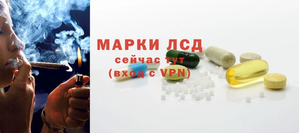 стаф Баксан