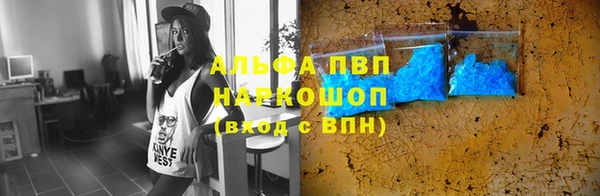 стаф Баксан