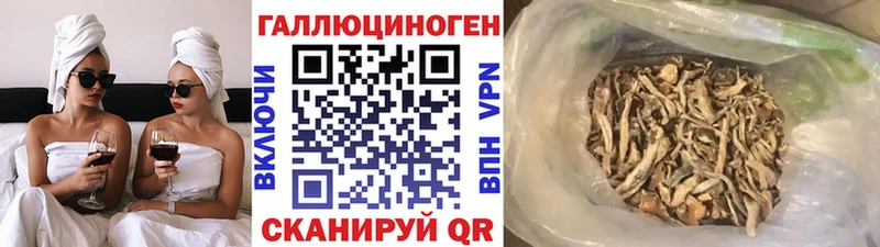 закладка  Заозёрск  Галлюциногенные грибы GOLDEN TEACHER 